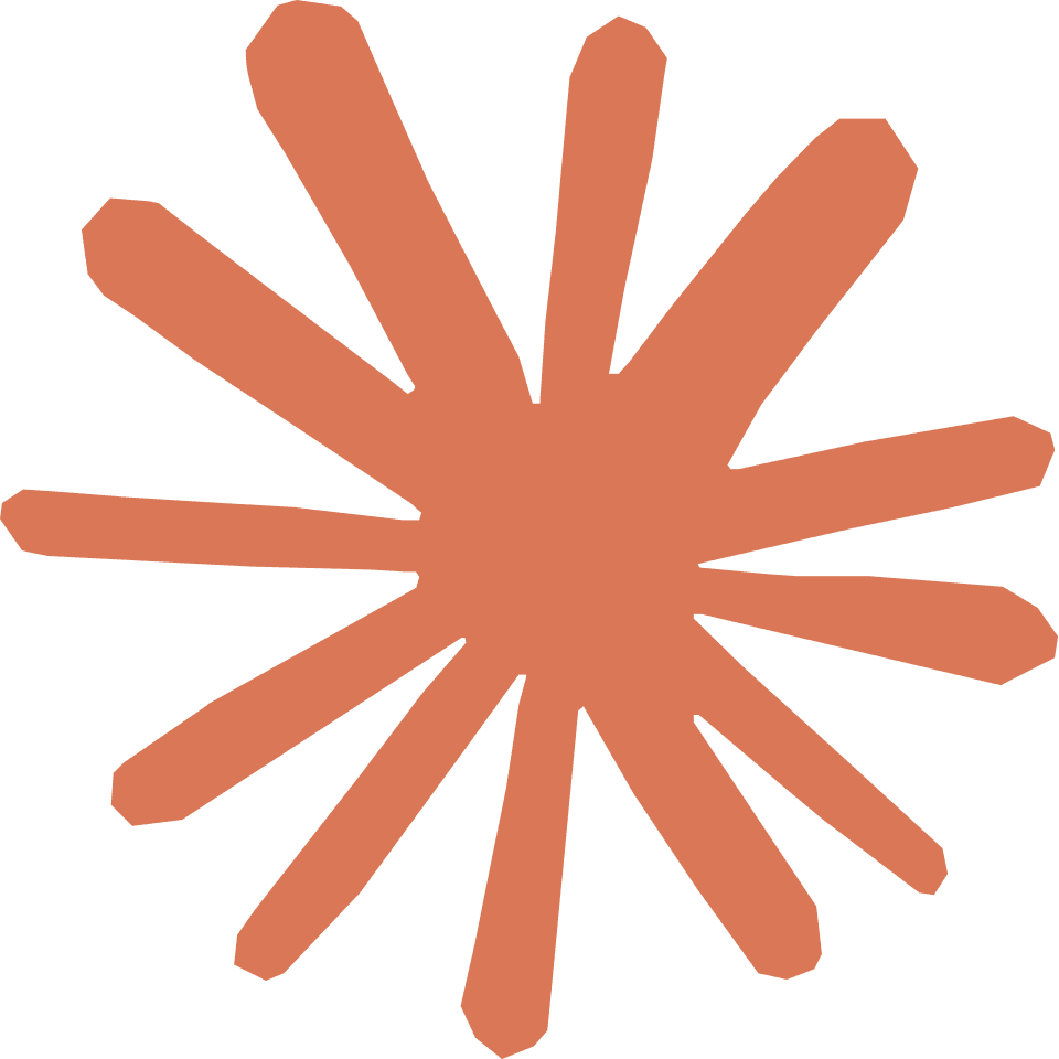 Web App Security Prompt: Injection Attacks, Authentication, CORS